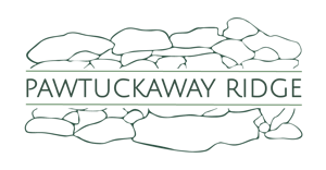 Pawtuckaway Ridge